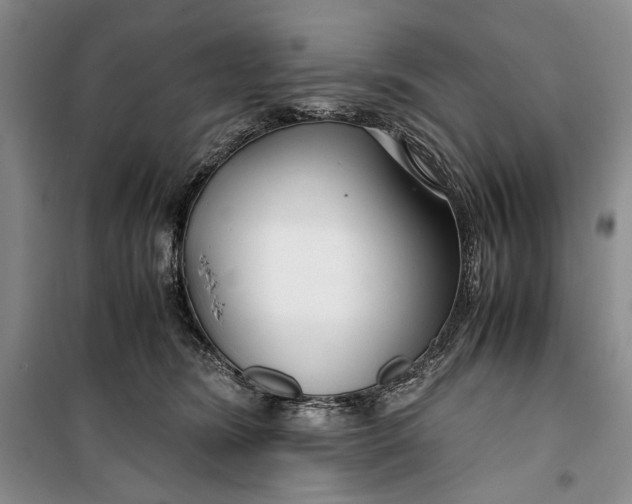 X0000099990420200806131439