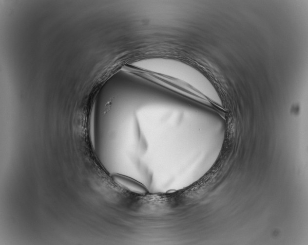 X0000099990421200806131439