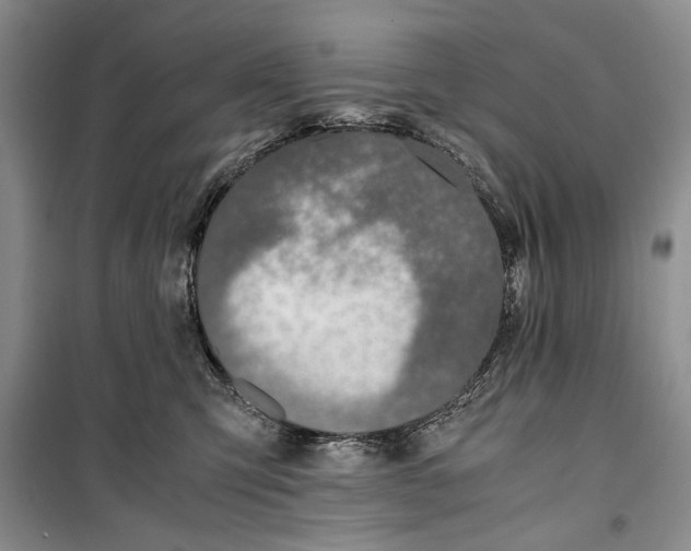 X0000099990423200806131439