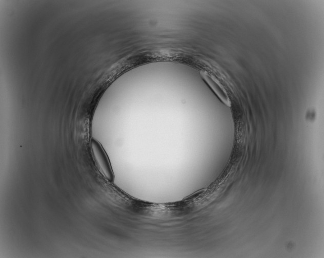 X0000099990425200806131439