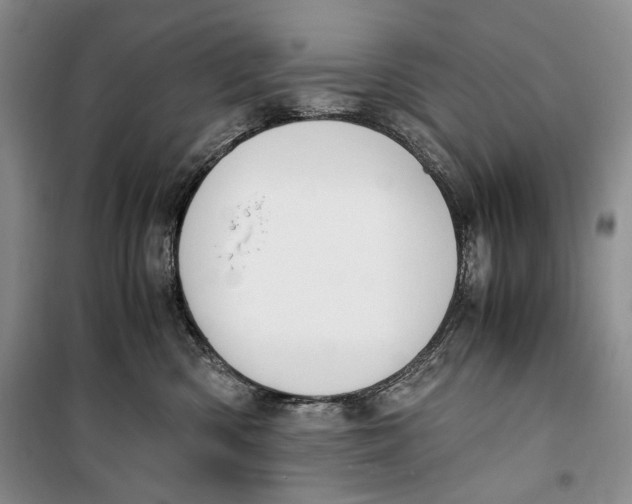 X0000099990426200806131439