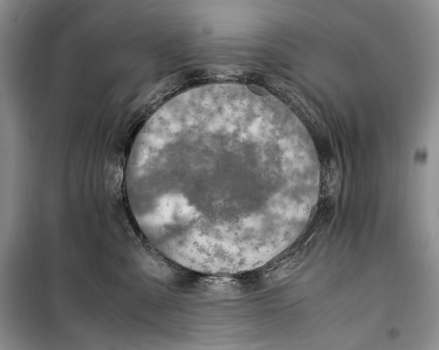 X0000099990427200806131439