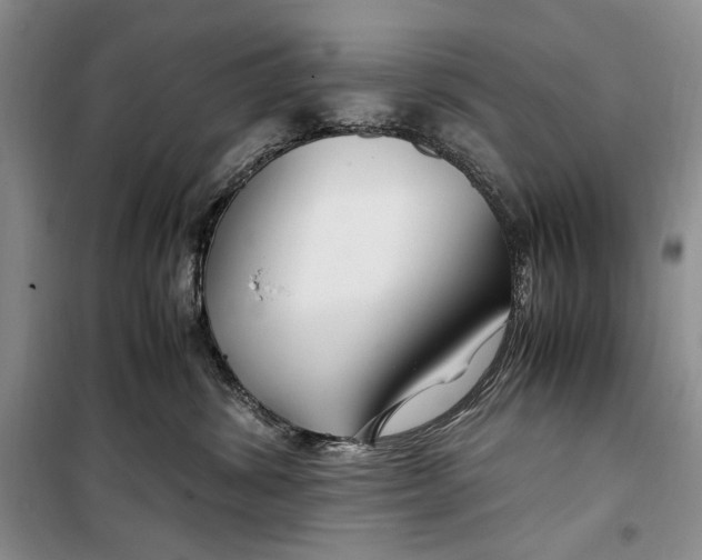 X0000099990428200806131439