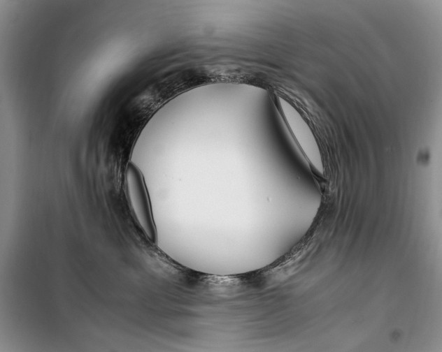 X0000099990429200806131439