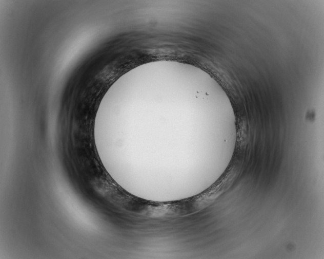 X0000099990430200806131439