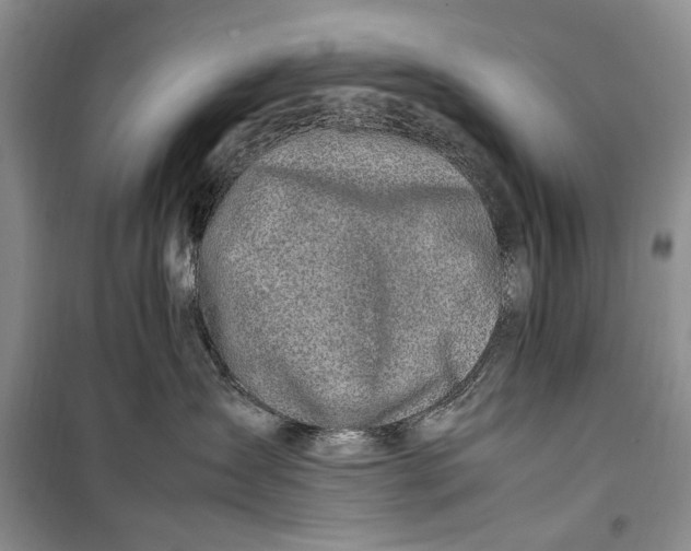 X0000099990431200806131439