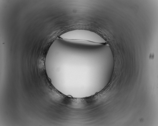 X0000099990432200806131439