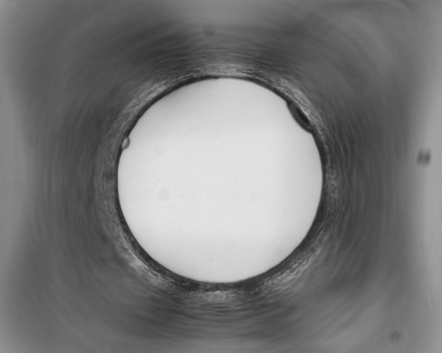 X0000099990433200806131438