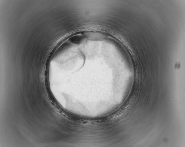 X0000099990434200806131438