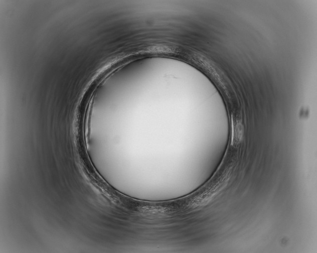 X0000099990435200806131438