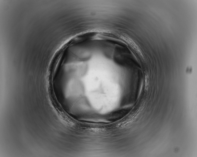 X0000099990436200806131438