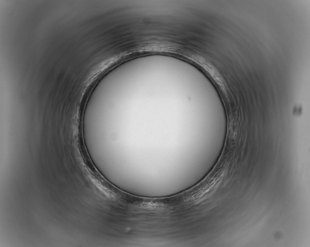 X0000099990437200806131438