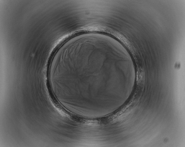 X0000099990438200806131438