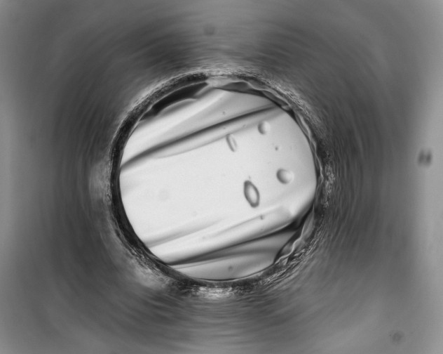 X0000099990440200806131438