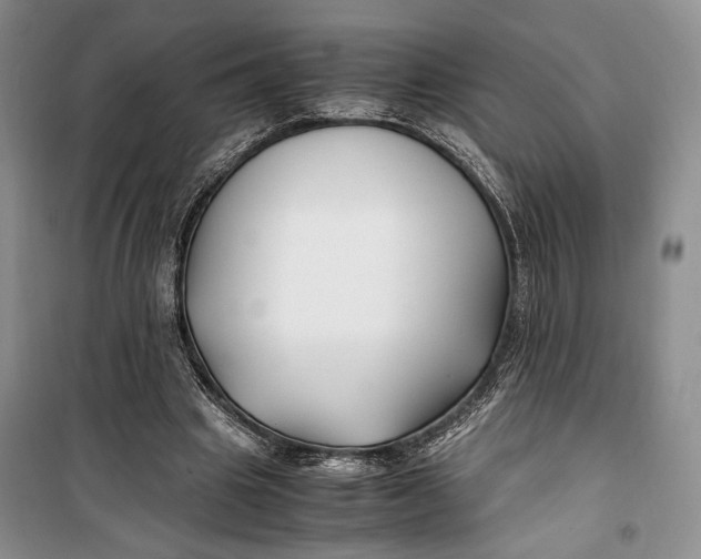 X0000099990441200806131438