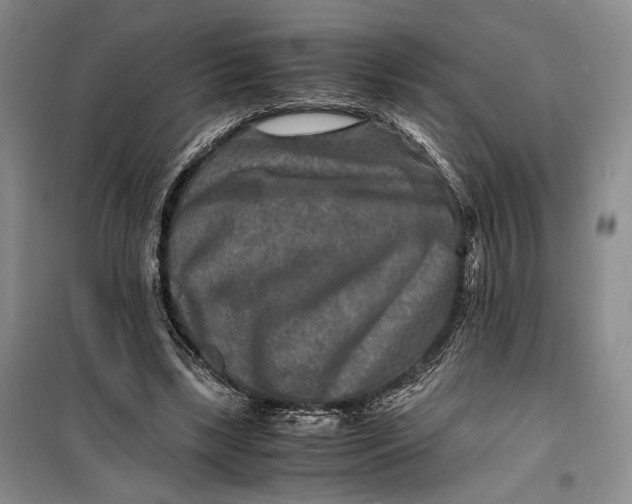 X0000099990443200806131438