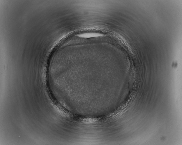 X0000099990444200806131438