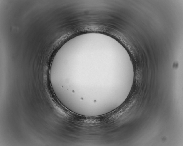 X0000099990445200806131438