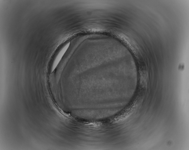 X0000099990447200806131438