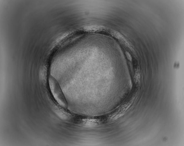 X0000099990448200806131438