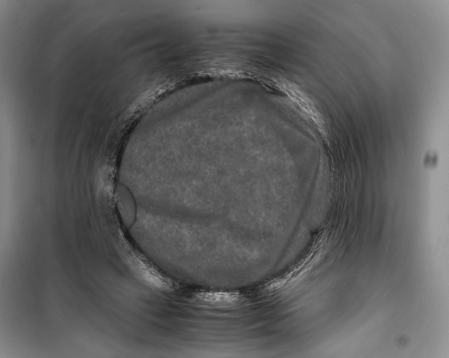 X0000099990449200806131438