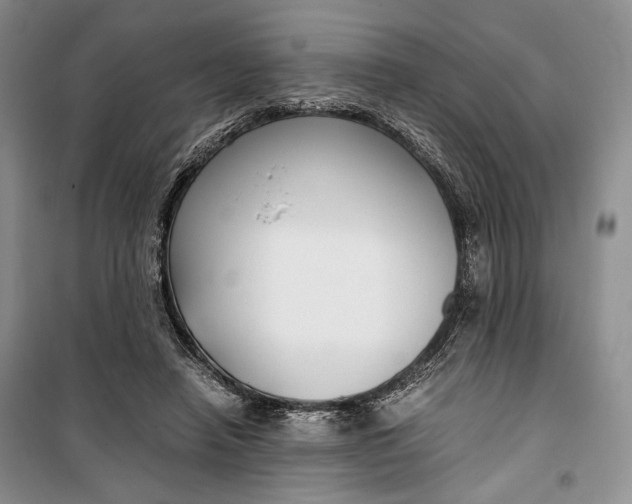 X0000099990450200806131438