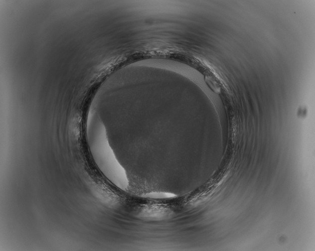 X0000099990451200806131438