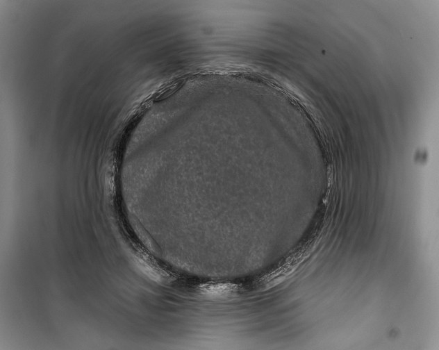 X0000099990452200806131438