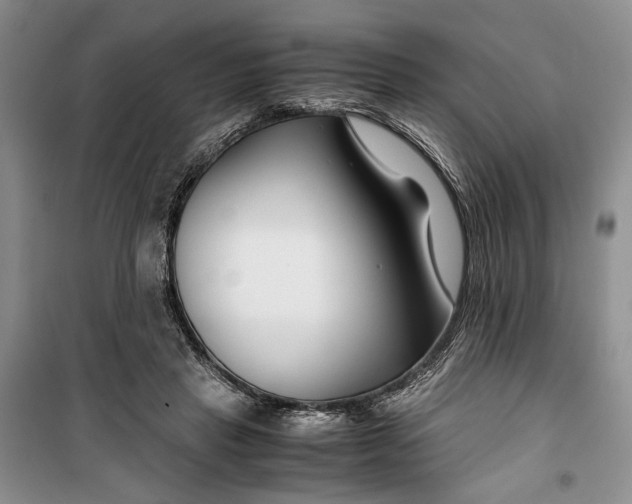 X0000099990453200806131439