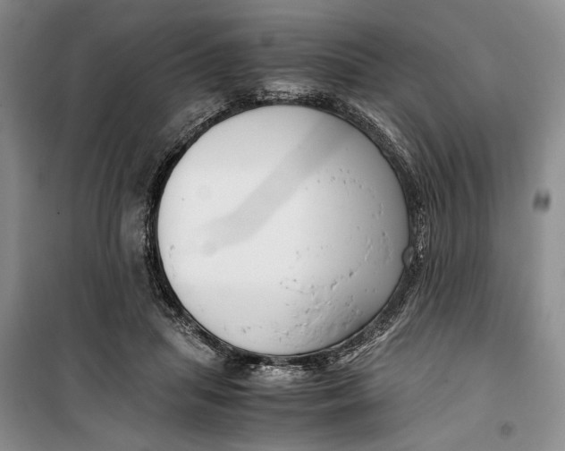 X0000099990455200806131439