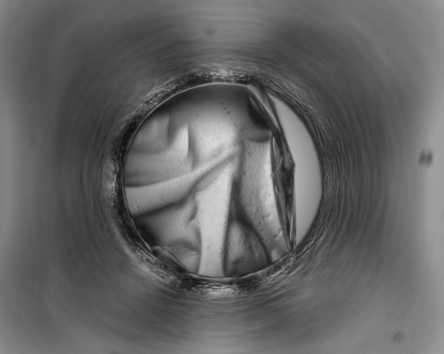 X0000099990456200806131439