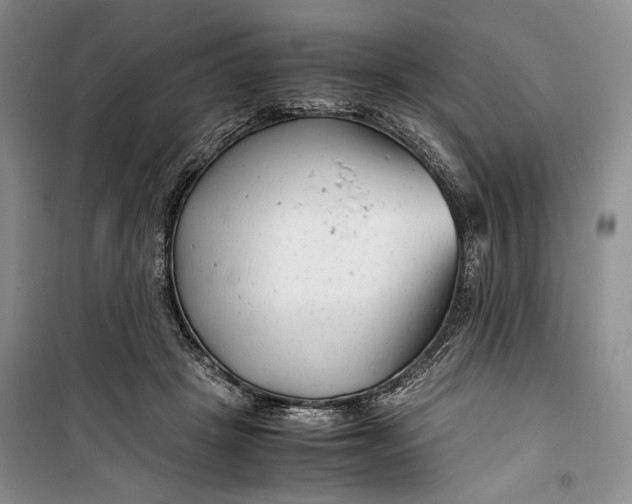 X0000099990457200806131439