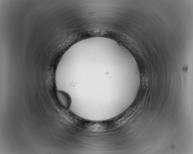 X0000099990460200806131439