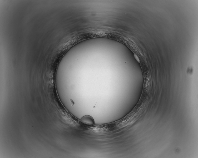 X0000099990466200806131439