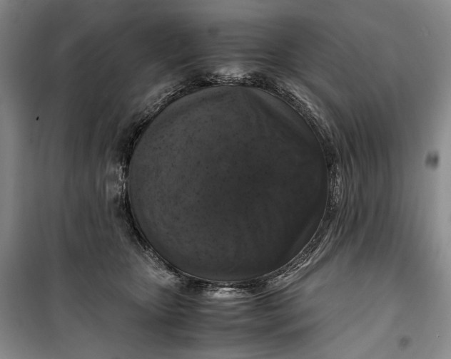 X0000099990467200806131439