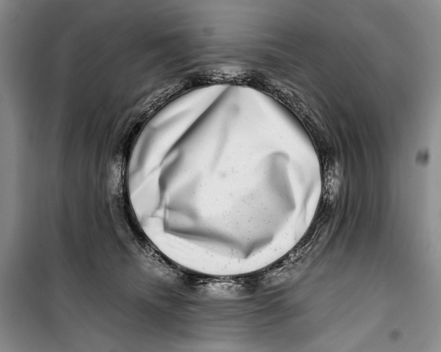 X0000099990468200806131439