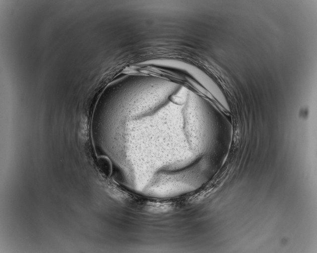 X0000099990469200806131439