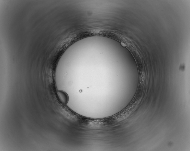 X0000099990470200806131439