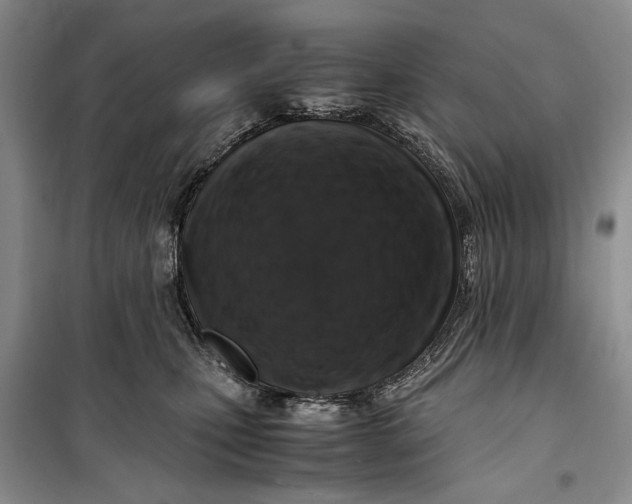 X0000099990471200806131439