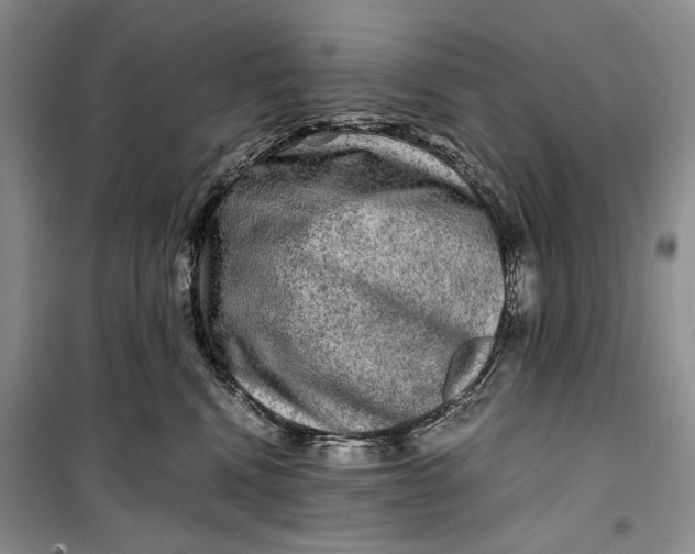 X0000099990472200806131439