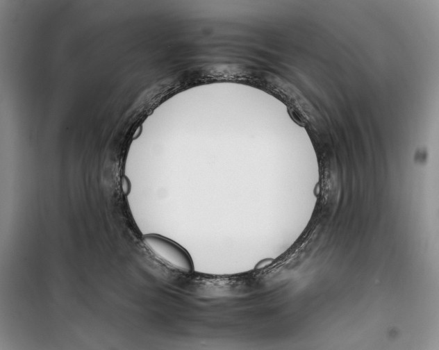 X0000099990473200806131439