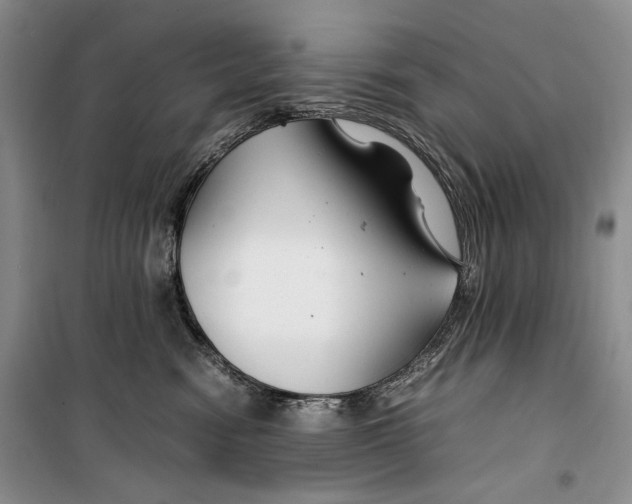 X0000099990474200806131439