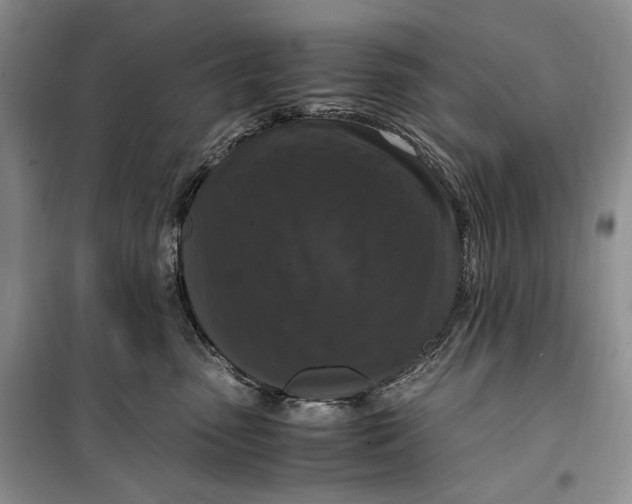 X0000099990475200806131439