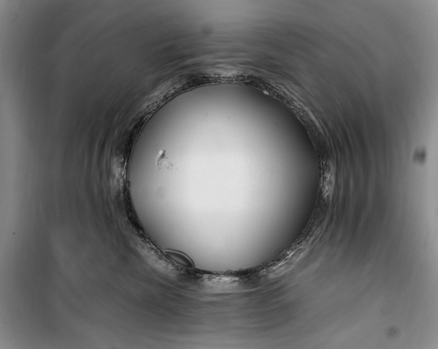 X0000099990476200806131439