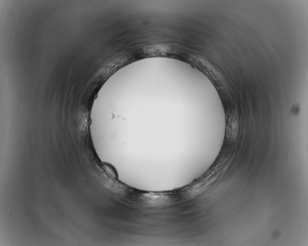 X0000099990477200806131439