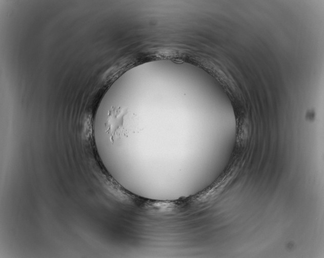 X0000099990478200806131439