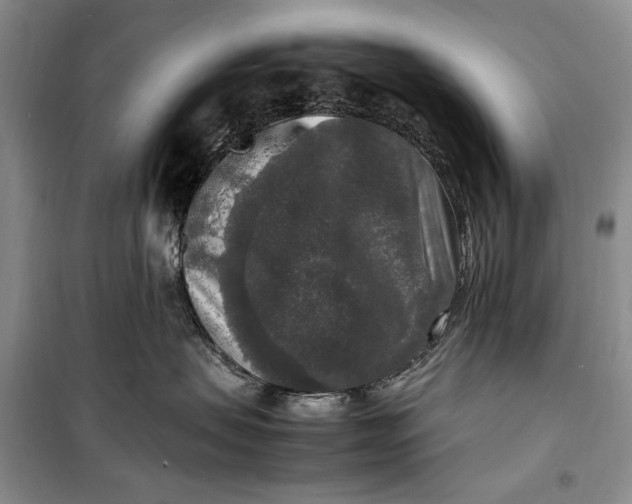 X0000099990479200806131439