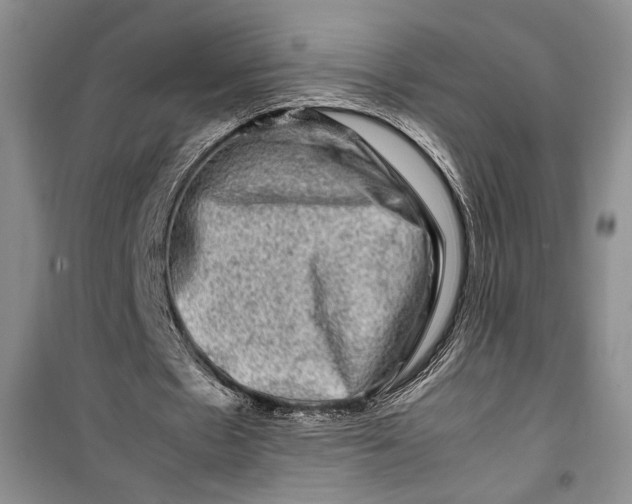 X0000099990481200806131438