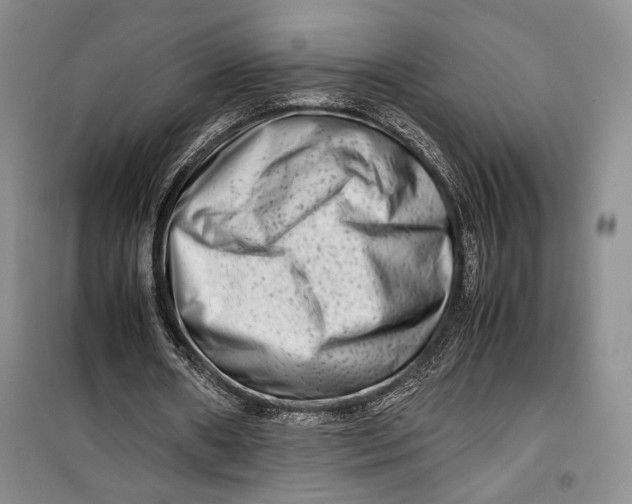 X0000099990482200806131438