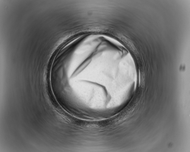 X0000099990483200806131438